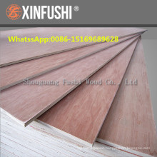 Africa market Bintangor veneer faced commercial poplar core Plywood